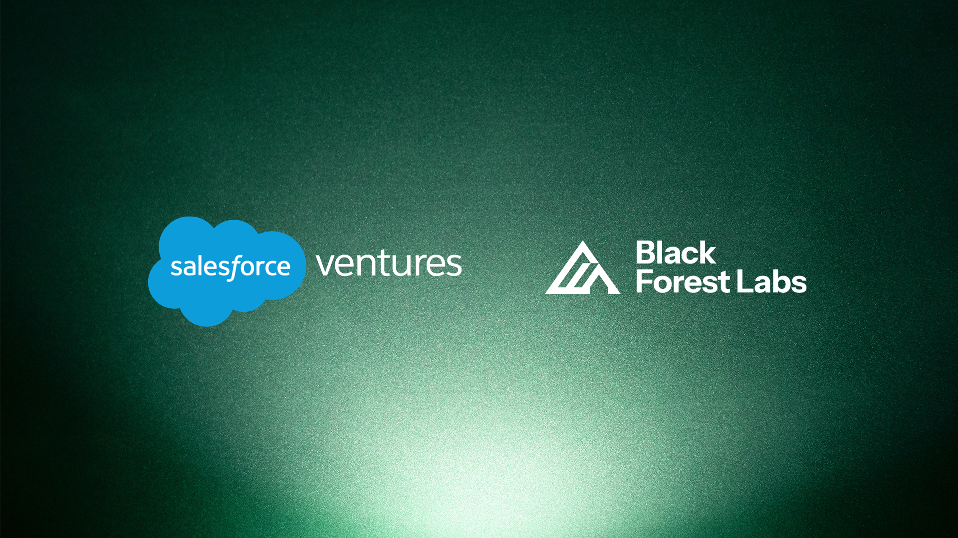 Welcome, Black Forest Labs! | Salesforce Ventures